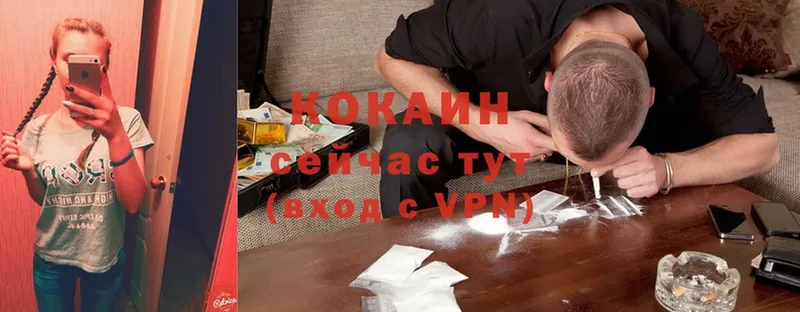 как найти наркотики  Белоусово  COCAIN Эквадор 